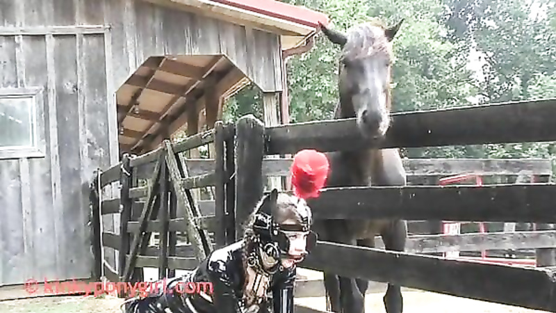 KINKY PONYGIRL - Ponygirl Barn 2