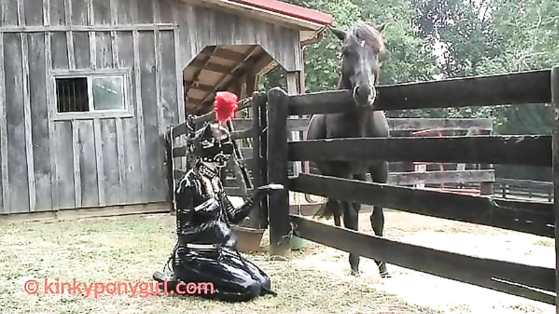 KINKY PONYGIRL - Ponygirl Barn 2