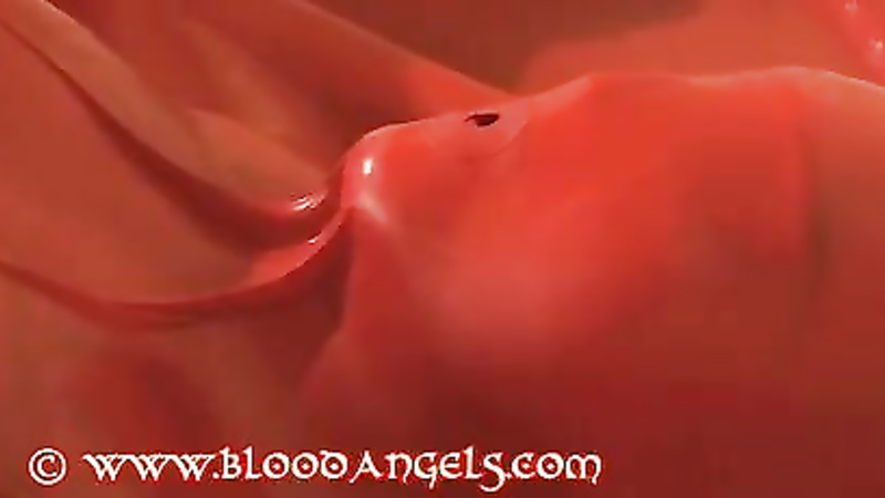 Blood Angels-clip52