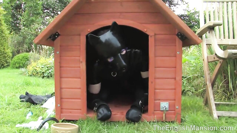 TheEnglishMansion - Rubber Puppy