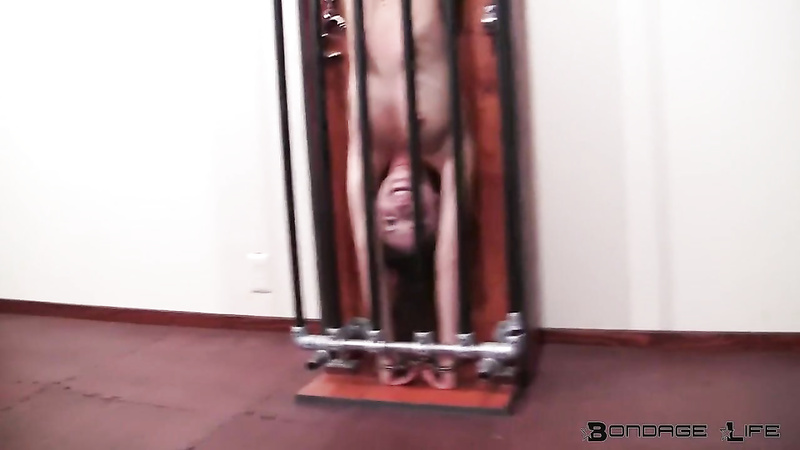 Bondage Life	Brynlee Nelson and Rachel Greyhound   Inverted Tickle Toy