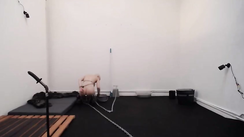 Bondage Life	cleaning with greyhound