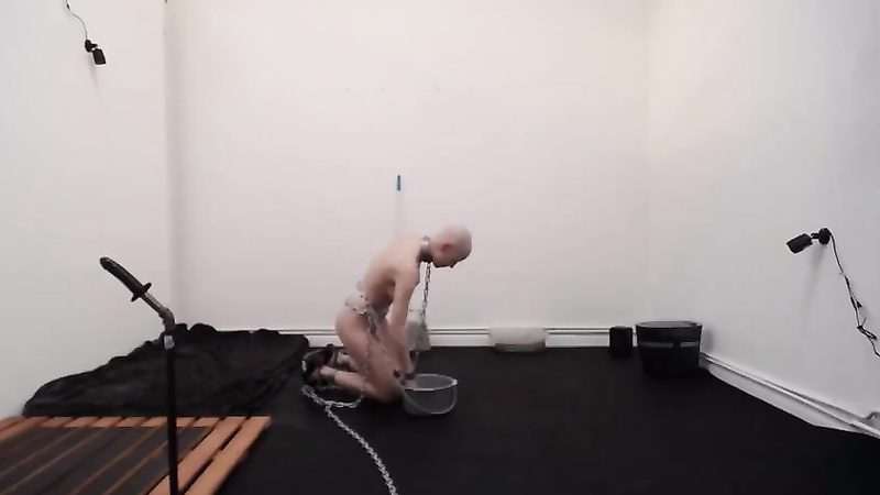Bondage Life	cleaning with greyhound