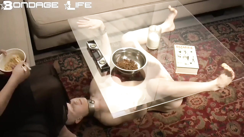 Bondage Life	kitty grayhound coffee table