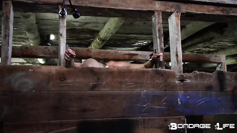 BondageLife	BrutalMaster, Rachel Greyhound - Brutalmaster Cow Stall