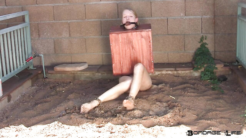 BondageLife	Rachel Greyhound - Boxed In Mud
