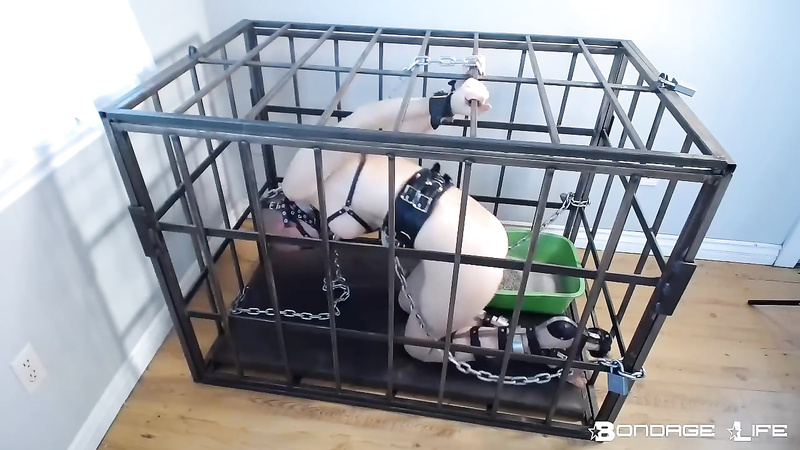 BondageLife	Rachel Greyhound - Cage Time With Greyhound (9.2.2019)