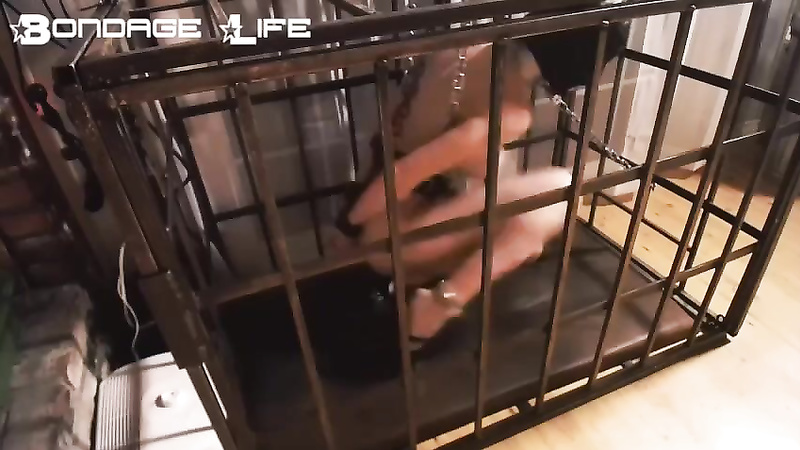 BondageLife	Rachel Greyhound - Cage Time