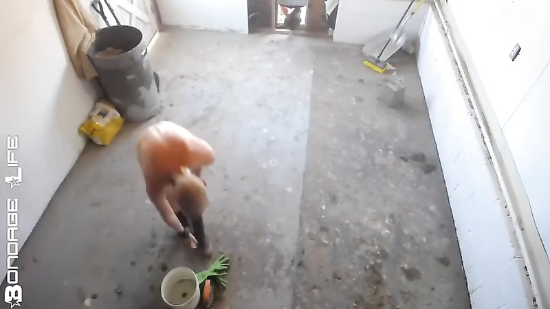 BondageLife	Rachel Greyhound - Clean Chicken Coop
