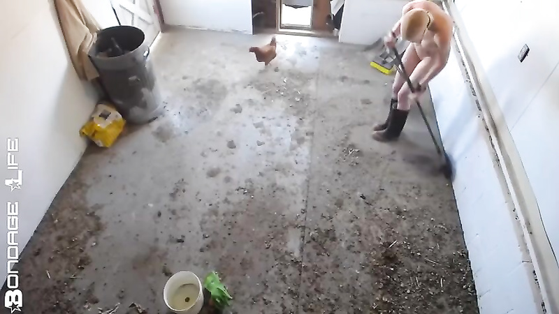 BondageLife	Rachel Greyhound - Clean Chicken Coop