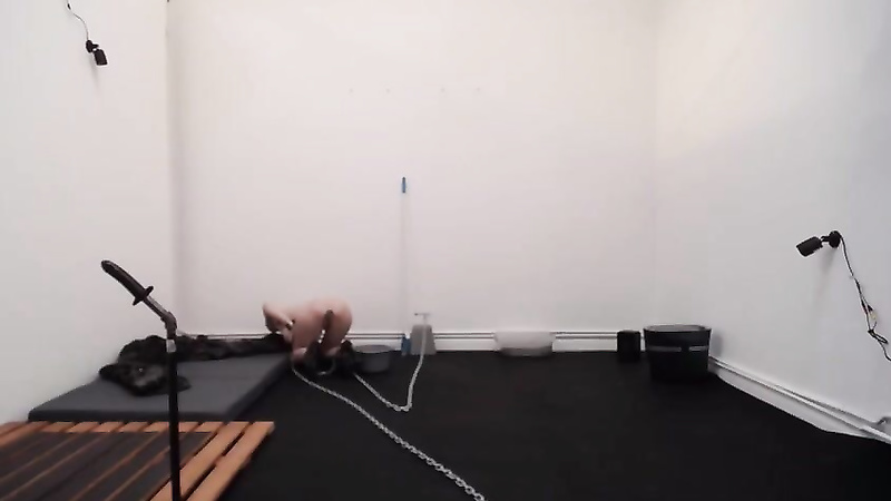 BondageLife	Rachel Greyhound - Cleaning With Greyhound