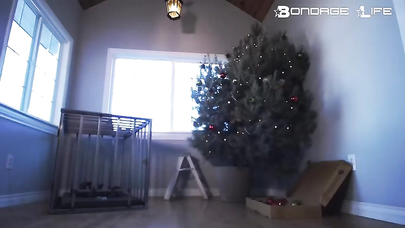 BondageLife	Rachel Greyhound - Decorating The Christmas Tree