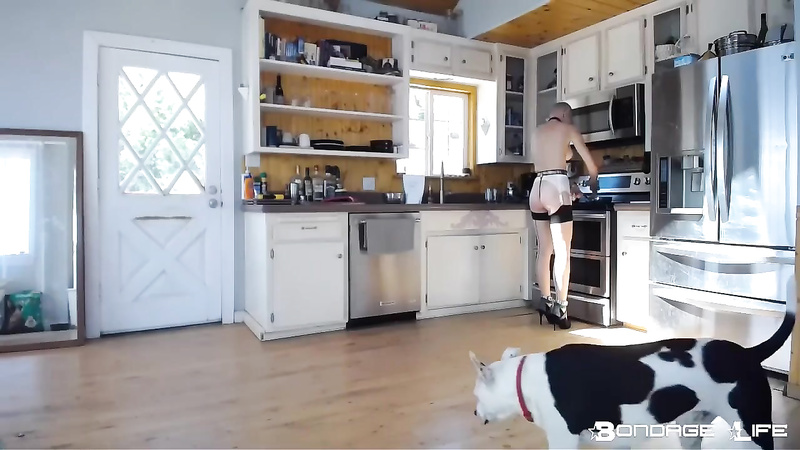 BondageLife	Rachel Greyhound - Domestic Service