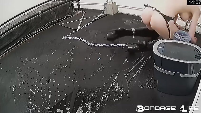 BondageLife	Rachel Greyhound - Floor Scrubbing (4.9.2018)