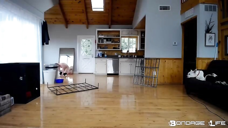 BondageLife	Rachel Greyhound - Floor Scrubbing + Cage Build