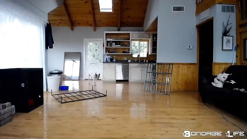 BondageLife	Rachel Greyhound - Floor Scrubbing + Cage Build