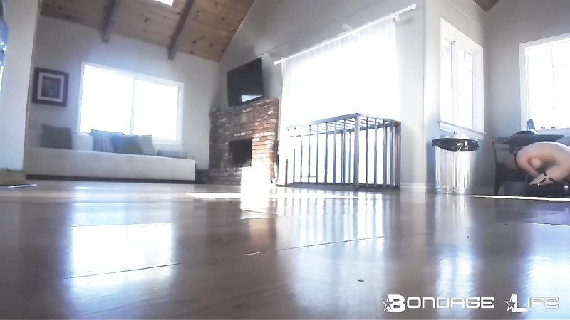 BondageLife	Rachel Greyhound - Floor Scrubbing