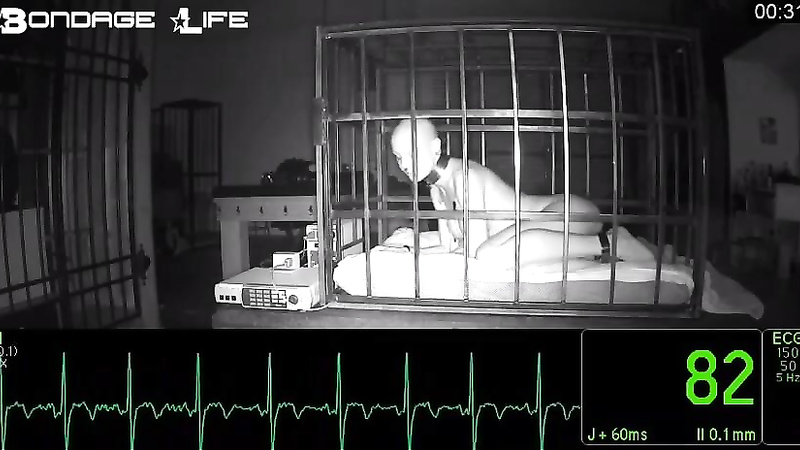 BondageLife	Rachel Greyhound - Goodnight Greyhound Mashup