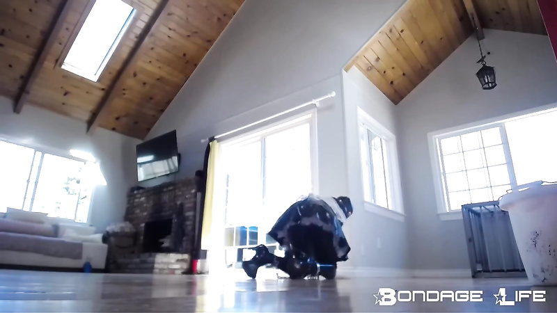 BondageLife	Rachel Greyhound - Greyhound Cleaning Service