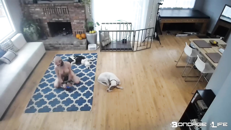 BondageLife	Rachel Greyhound - Greyhound Does Chores (Rug Cleaning Edition)