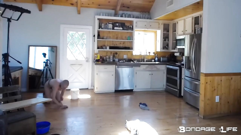 BondageLife	Rachel Greyhound - Housework