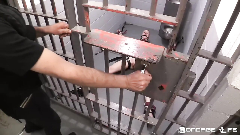 BondageLife	Rachel Greyhound - Jail Cell (Bungie Edition)