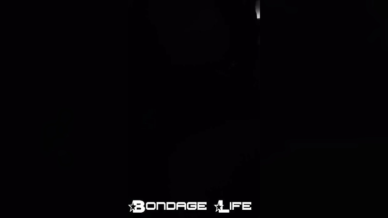BondageLife	Rachel Greyhound - New Box Lunch