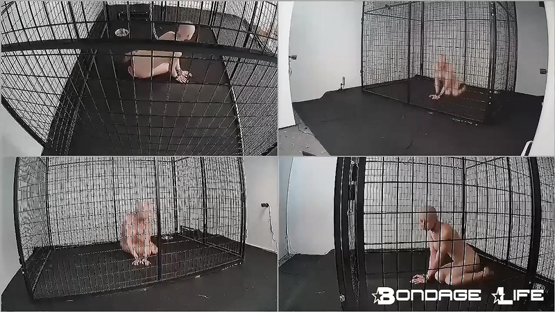 BondageLife	Rachel Greyhound - New Cage Roamings