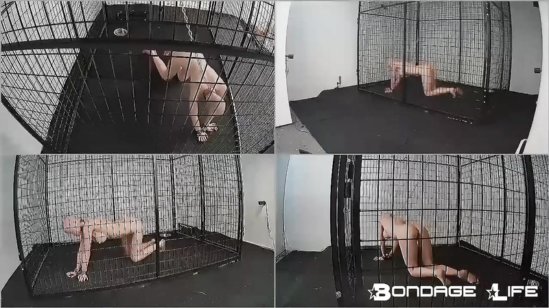 BondageLife	Rachel Greyhound - New Cage Roamings