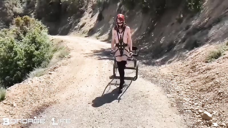 BondageLife	Rachel Greyhound - Pony Cart Walk