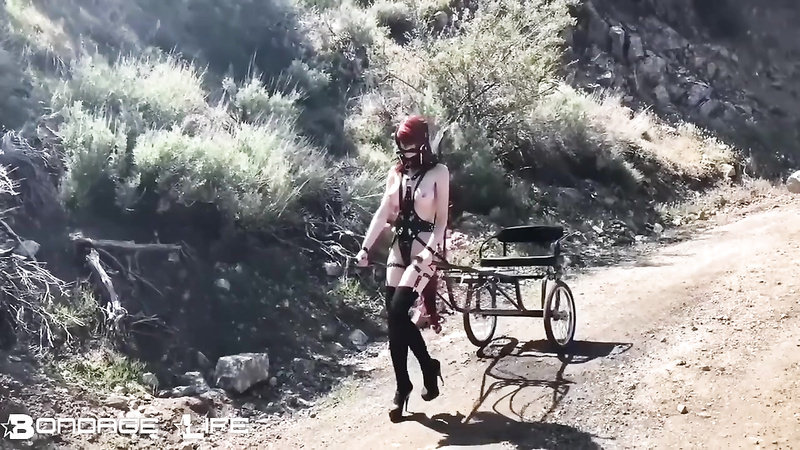 BondageLife	Rachel Greyhound - Pony Cart Walk