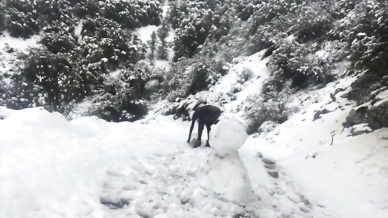 BondageLife	Rachel Greyhound - Snow Day (Latex Edition)