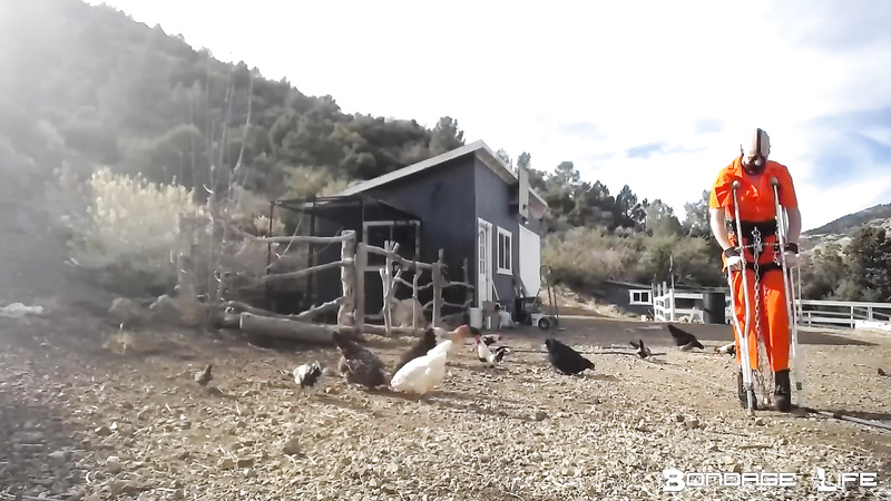 BondageLife 	Rachel Greyhound - Trash Duty (Bane & the Chickens)