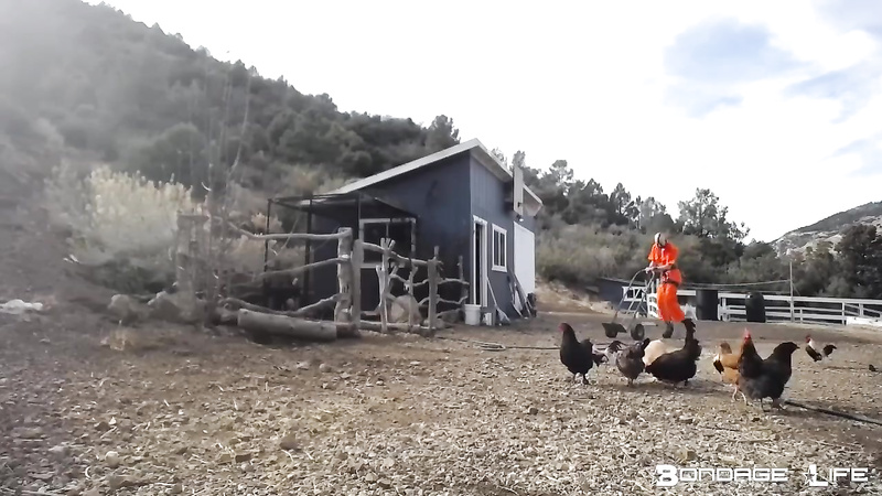 BondageLife 	Rachel Greyhound - Trash Duty (Bane & the Chickens)