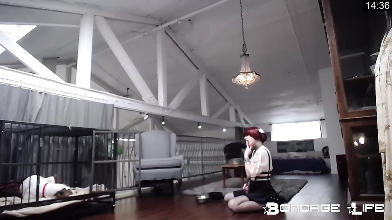 BondageLife 	Rachel Greyhound - Upstairs Floor Sweep