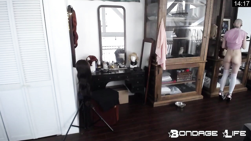 BondageLife 	Rachel Greyhound - Wig Show