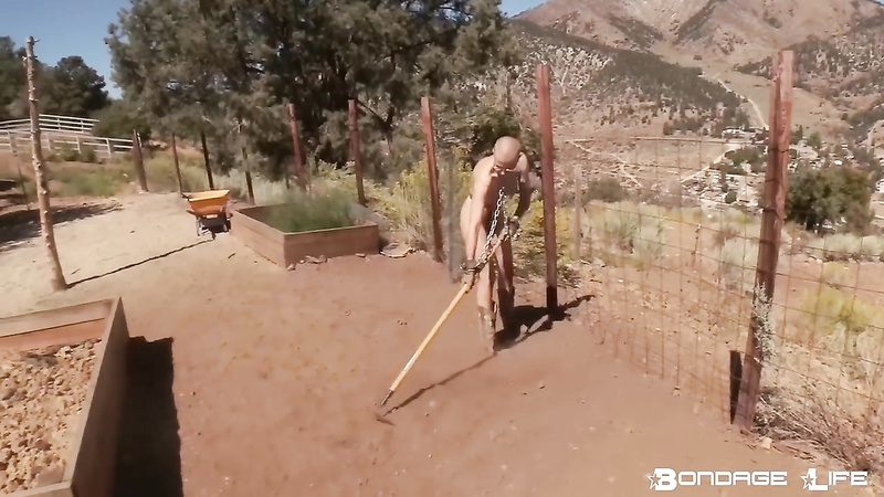 BondageLife 	Rachel Greyhound - Yardwork With Greyhound (Landscaping Editiion)