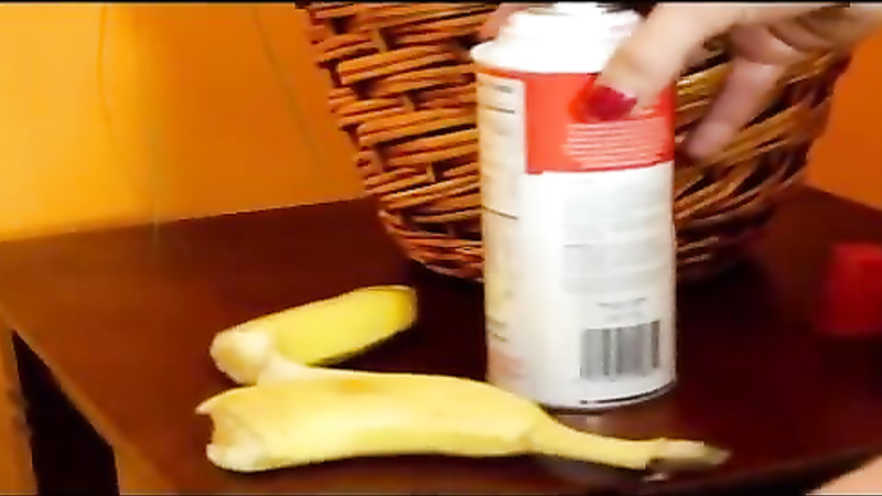 Erotic Muscle Videos	banana split