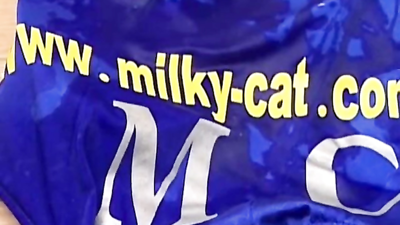 Milky Cat	DMC-08
