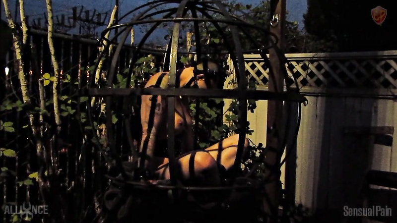 Sensualpain - Caged Outdoor Salacity - Abigail Dupree