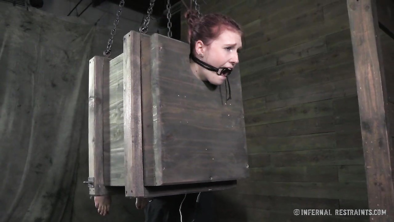 INFERNAL RESTRAINTS - Whipped, Bound and Boxed
