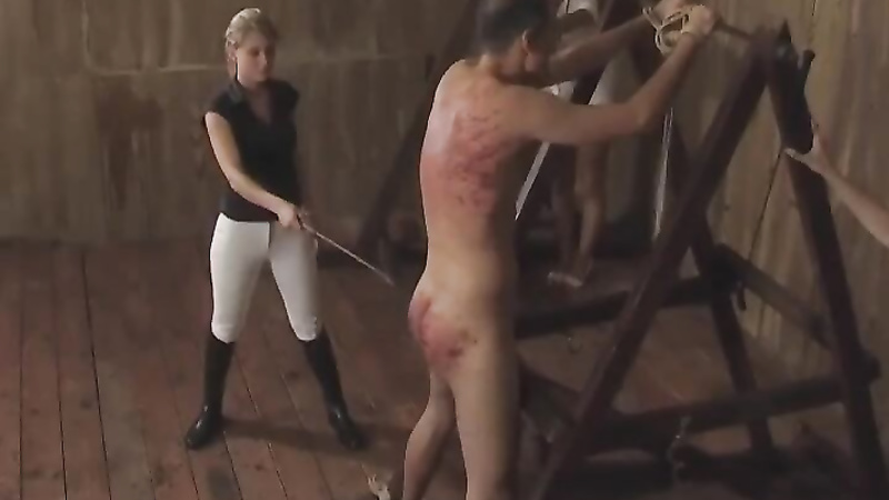 Cruel Amazons	THE SICK HORSE-SLAVE