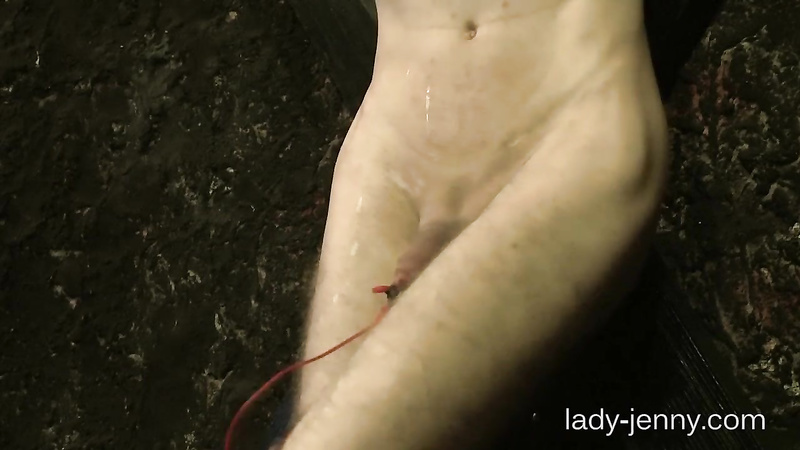 Lady-Jenny	Whip, Needles and Electro 3-3