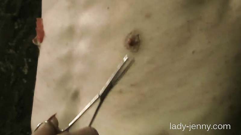 Lady-Jenny	Whip, Needles and Electro 3-2