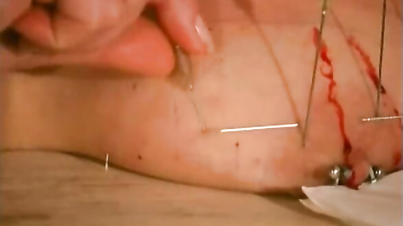 Breasts In Pain	Needle Punishment for Cat.mp4