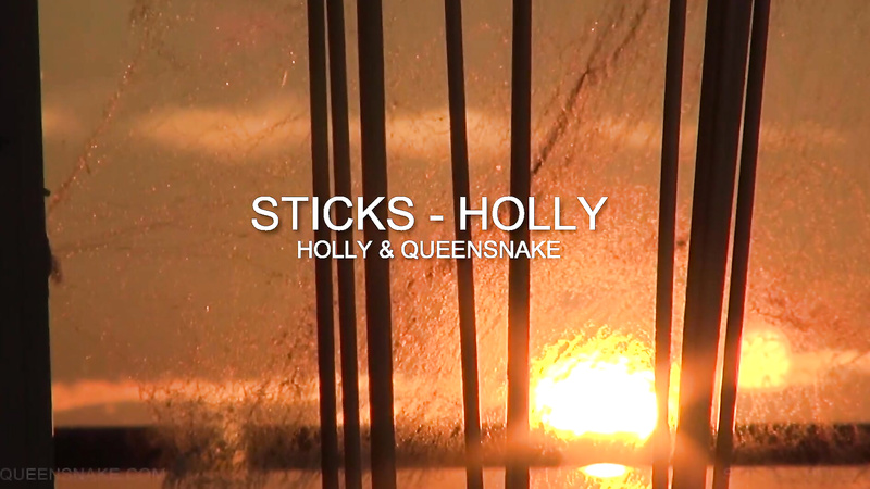 QueenSnake	sticks holly