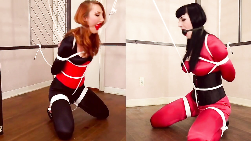 Shiny Bound	Kendra Vs Nyxon Tug-O-War