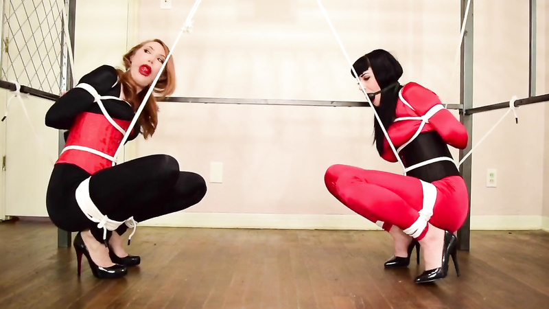 Shiny Bound	Kendra Vs Nyxon Tug-O-War