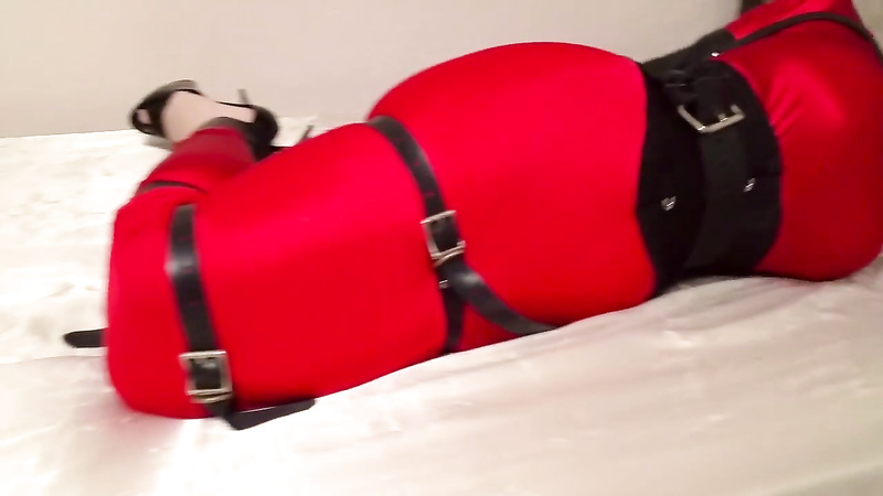 Shiny Bound	Nyxon Bound and Hobbled in Red