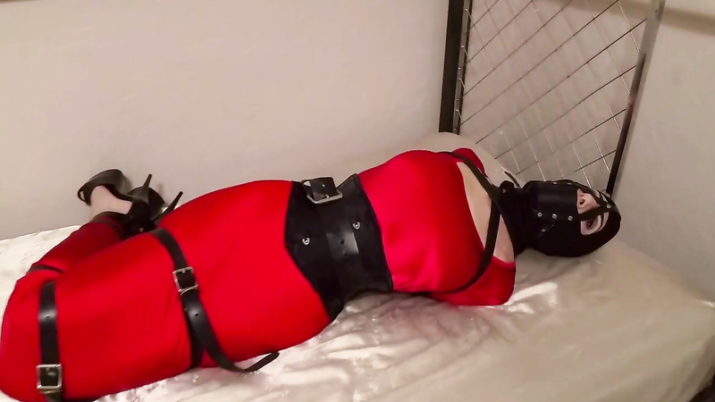 Shiny Bound	Nyxon Bound and Hobbled in Red